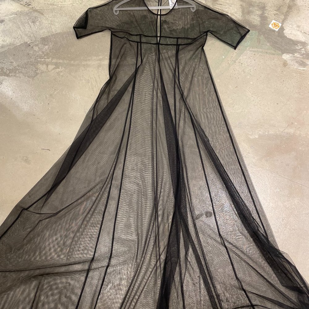 BCBG RUNWAY Sheer Long Dress